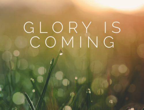 Glory is Coming . . .